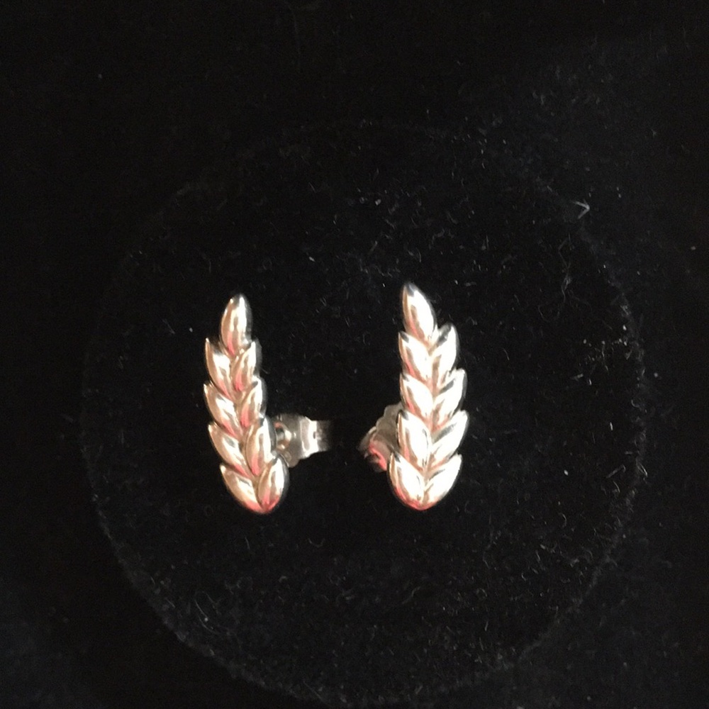 🌿Pandora Leaf Studs🕊